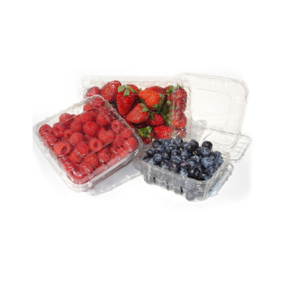 BLISTER BERRIES CON VENTILACION 12X12X6 CM. TRANSPARENTE