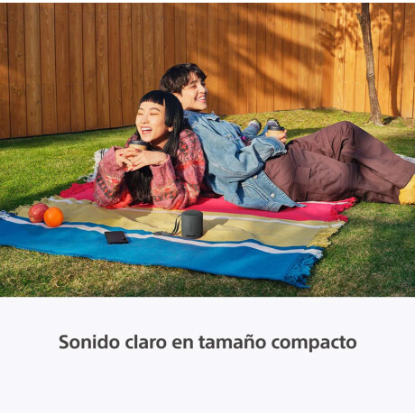 Parlante Inalámbrico Portatil Sony SRS-XB100 Negro
