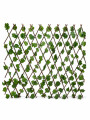 ENREDADERA EXTENSIBLE VERDE