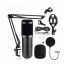Microfono Condensador Kit Grabación Brazo Articulado Youtuber Gamer Pro Usb Imback Color Negro Microfono Condensador Kit Grabación Brazo Articulado Youtuber Gamer Pro Usb Imback Color Negro