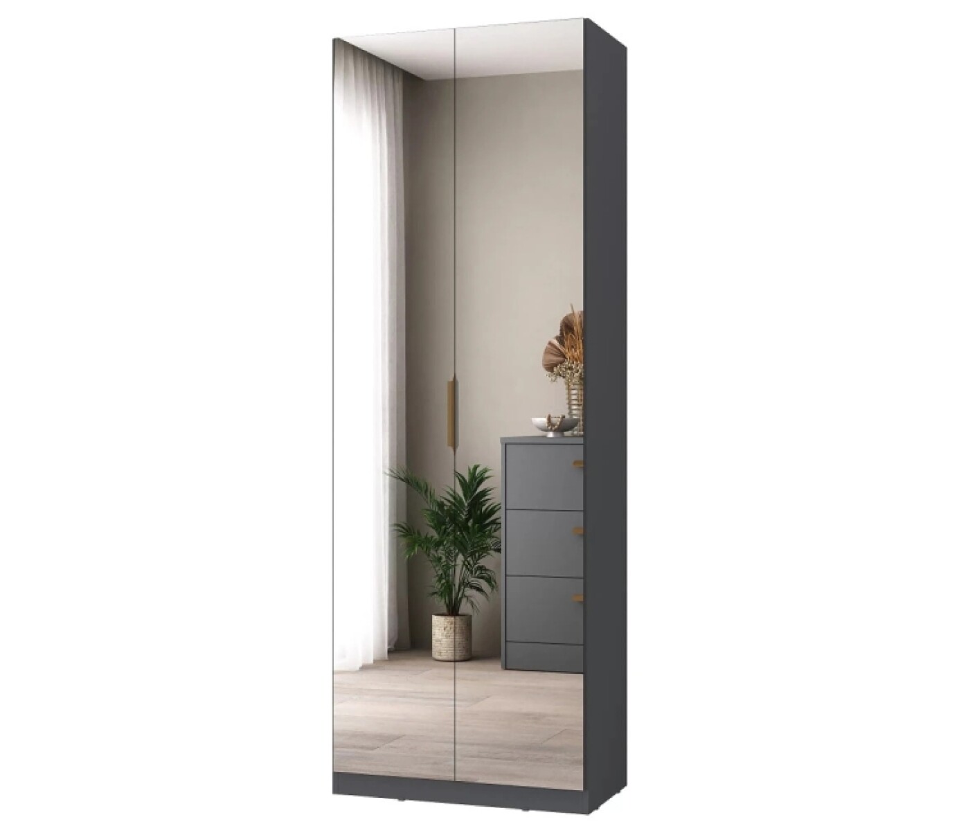 Multiuso 2 Puertas Plus Grafito Con Espejo 
