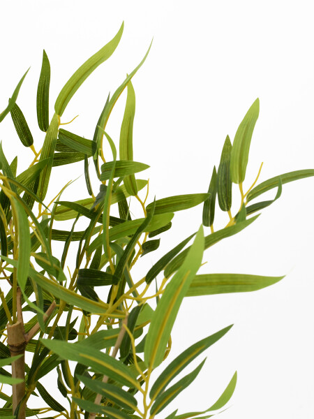BAMBU VERDE (V)