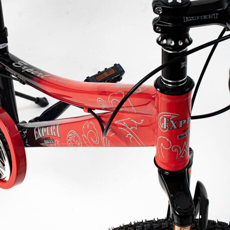 Bicicleta R20 Suspensión, Freno De Disco El Rey Rojo