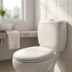 Asiento de inodoro Confort Eco BLANCO