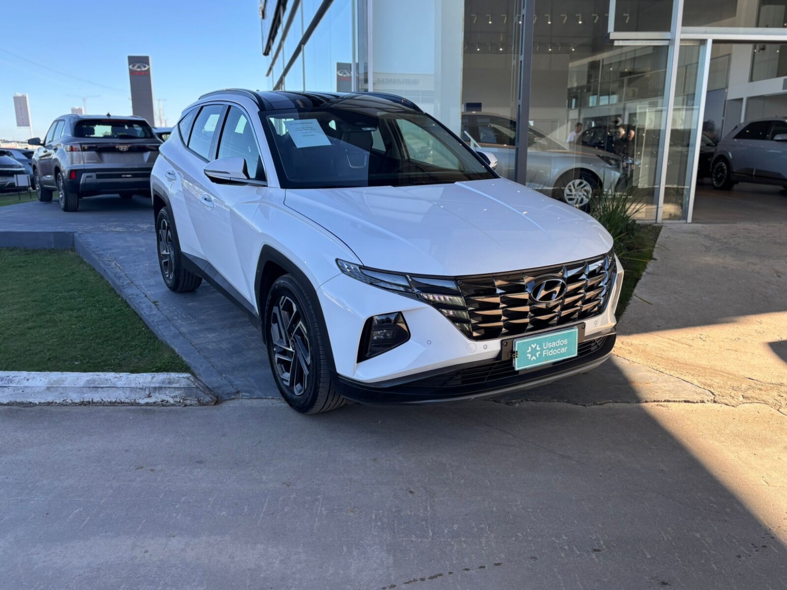 Hyundai Tucson Limited HEV - 2024 