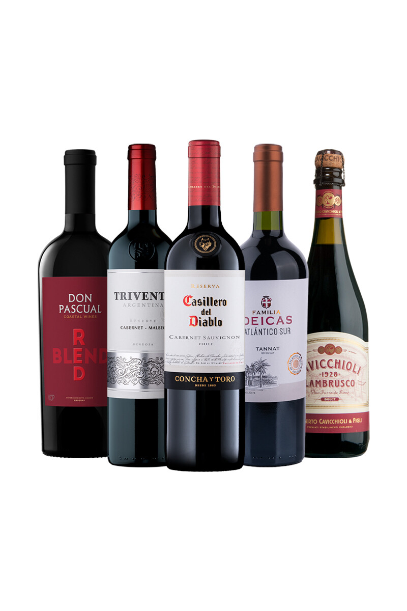 Pack Bacán Selección Para compartir x5 vinos 