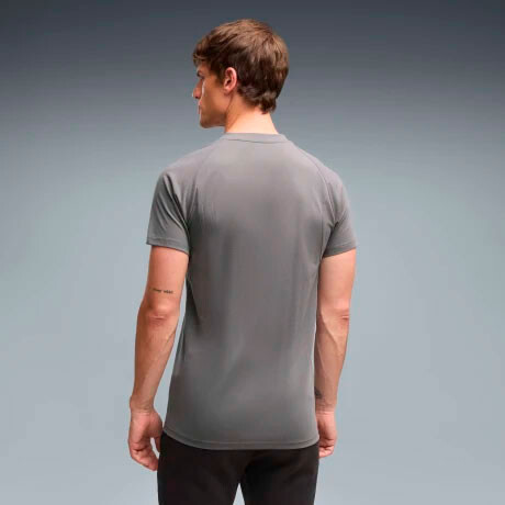 Remera de Hombre Puma Peñarol Evostripe Tee Gris - Amarillo
