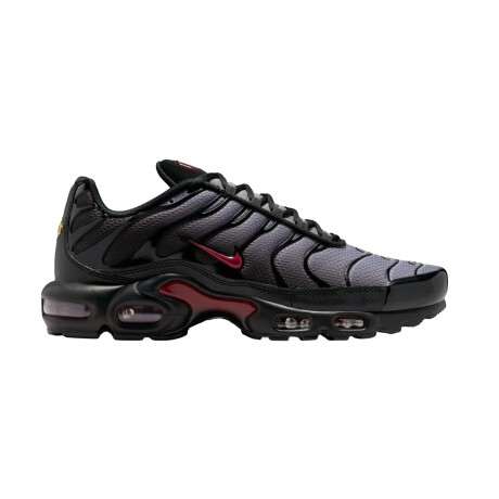 Championes Nike Air Max Plus Gray