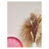 Reloj de pared distintos colores 25cm Reloj De Pared Distintos Colores 25cm