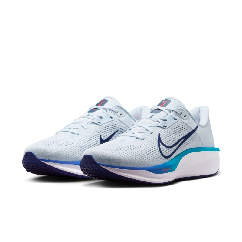 Championes Nike Quest 6 de Hombre Gris
