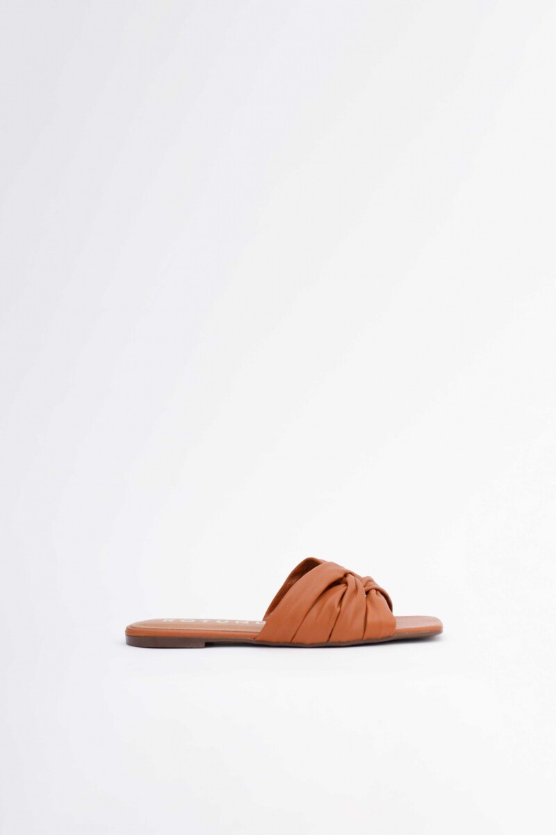 Livy Camel