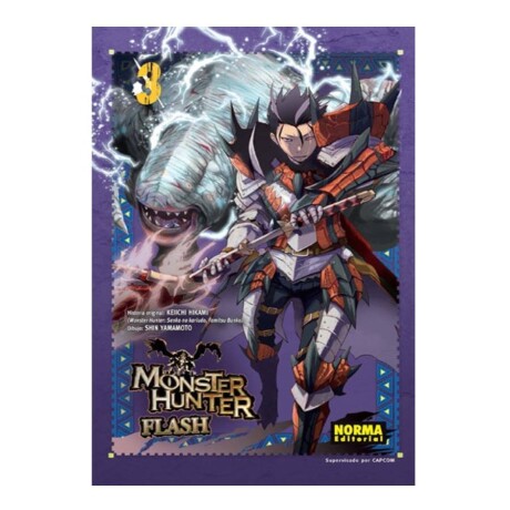 Monster Hunter Flash - Tomo 3 Monster Hunter Flash - Tomo 3