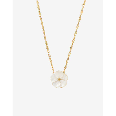 Cadena Acero Con Dije Nácar Dorado