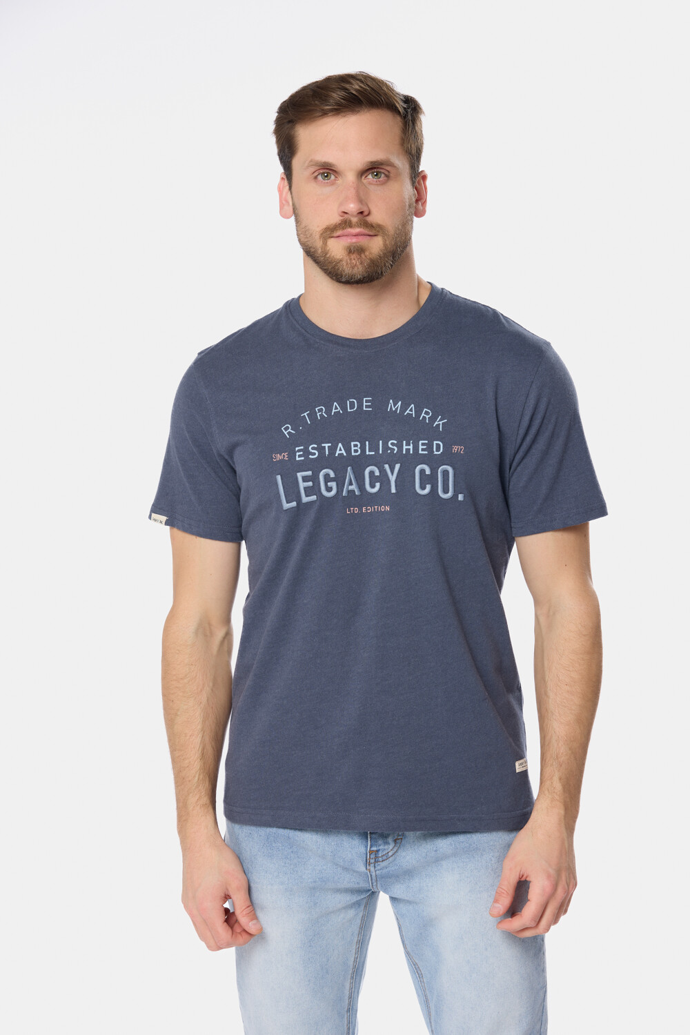 REMERA ESTAMPADA Azul