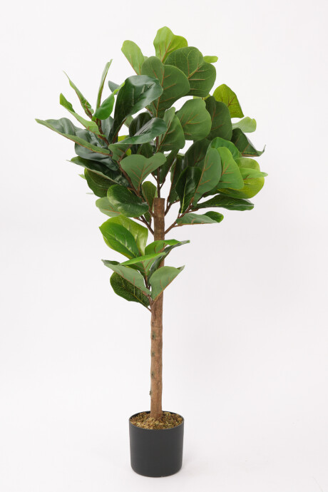 Planta Ficus Lira 110cm Color Unico