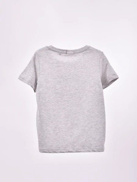 REMERA CILANTRO GRIS