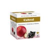 Té Manzana y Grosella Negra Cabral 10 unidades Cabral Manzana Y Grosella X10