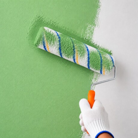 RODILLO DE PINTAR DE 22 CM 001