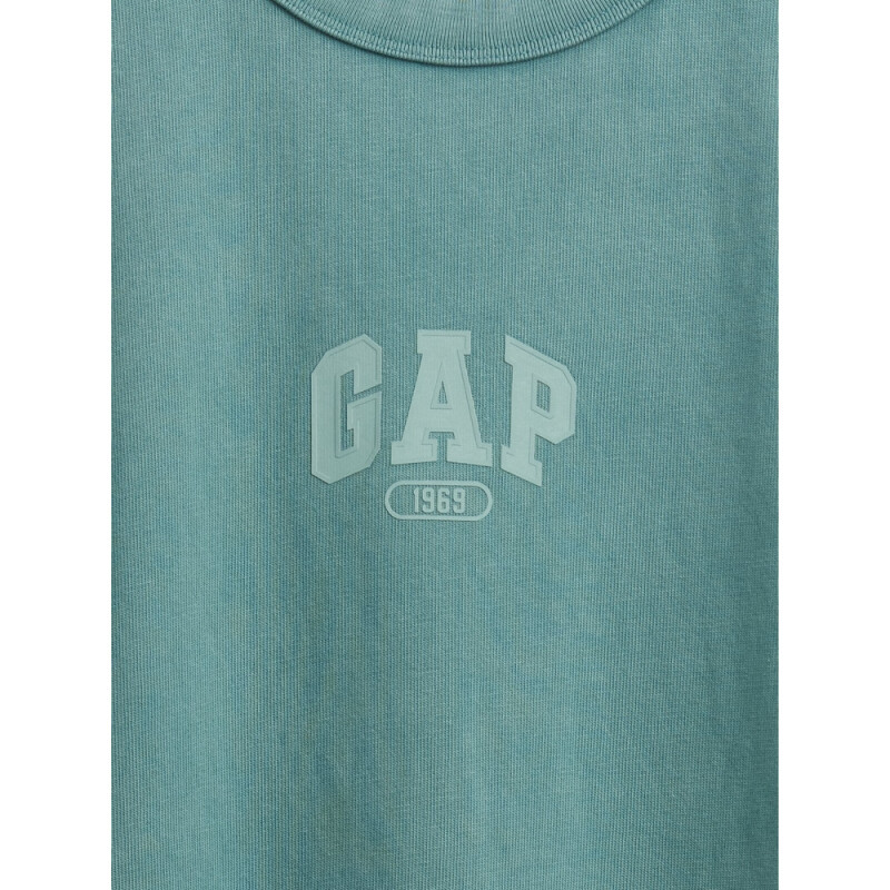 INTL HVY CROP LOGO T BOGGY GREEN 811