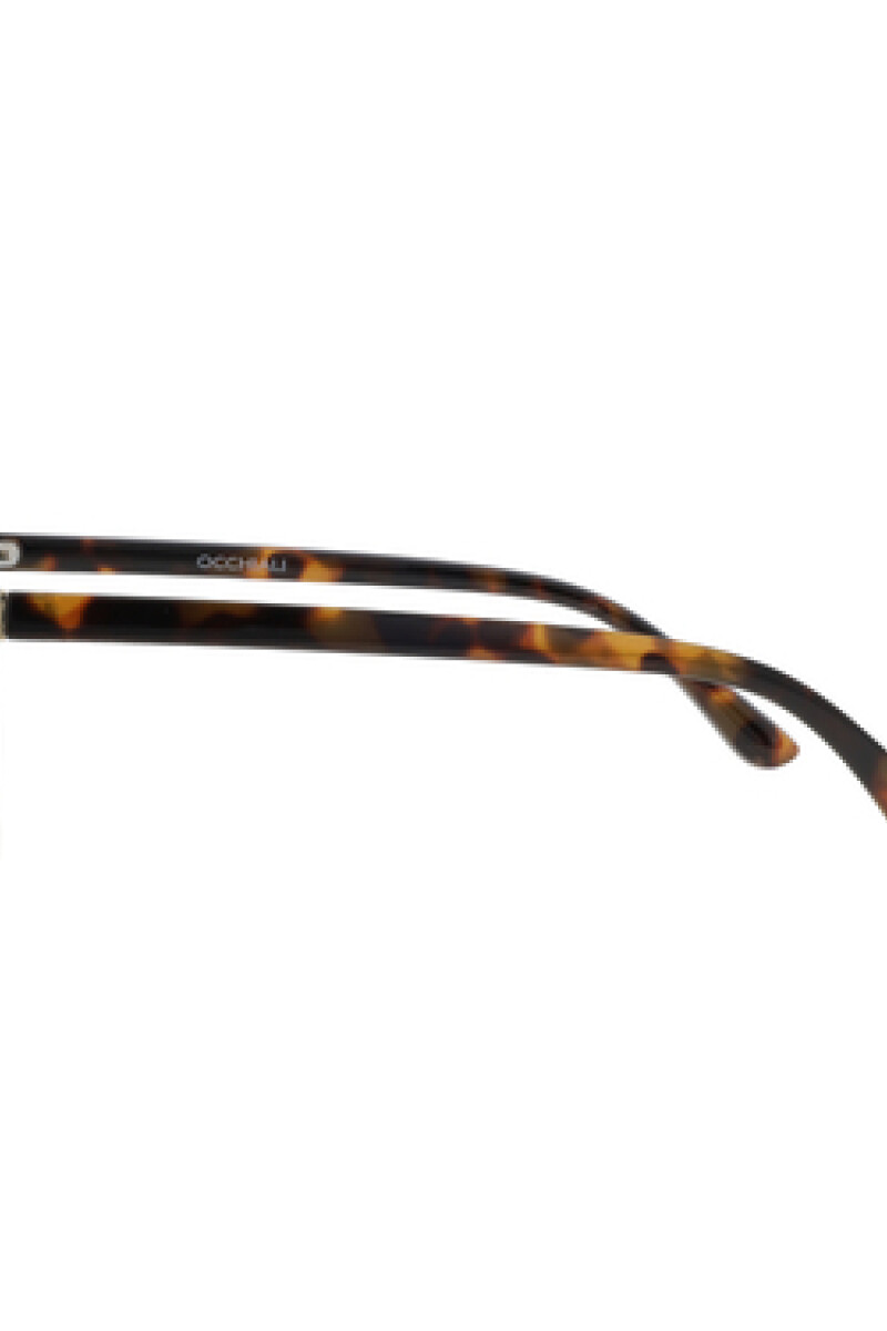 Lentes de sol Transparente