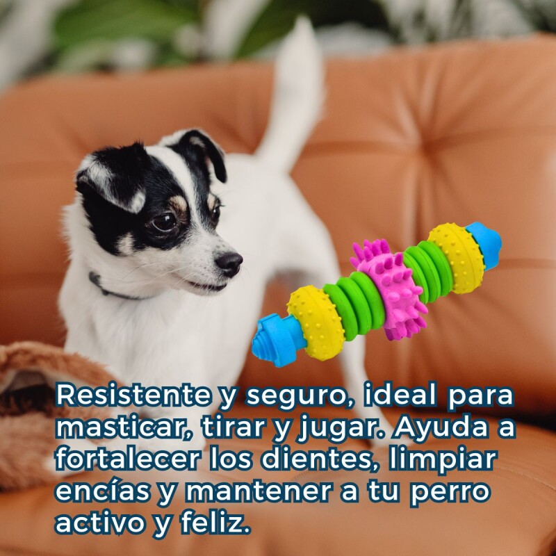 JUGUETE DE GOMA MACIZA PARA PERROS - TIPO MANCUERNA JUGUETE DE GOMA MACIZA PARA PERROS - TIPO MANCUERNA