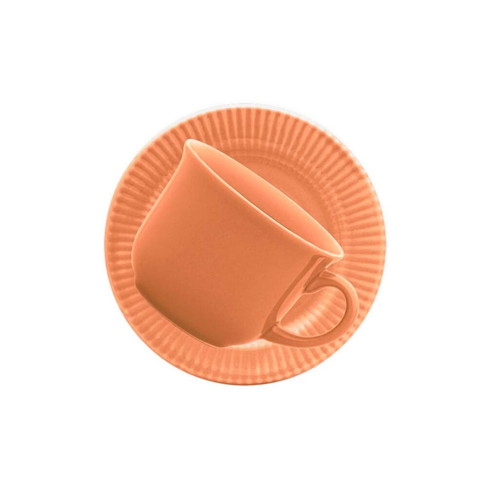 Taza de te con plato Salmao 200 ml BIONA Taza de te con plato Salmao 200 ml BIONA