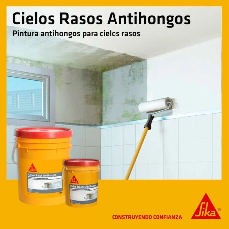 Pintura Cielos Rasos Antihongos Sika 20+20 Kg Blanca Pintura Cielos Rasos Antihongos Sika 20+20 Kg Blanca