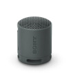 Parlante Inalámbrico Portatil Sony SRS-XB100 Negro