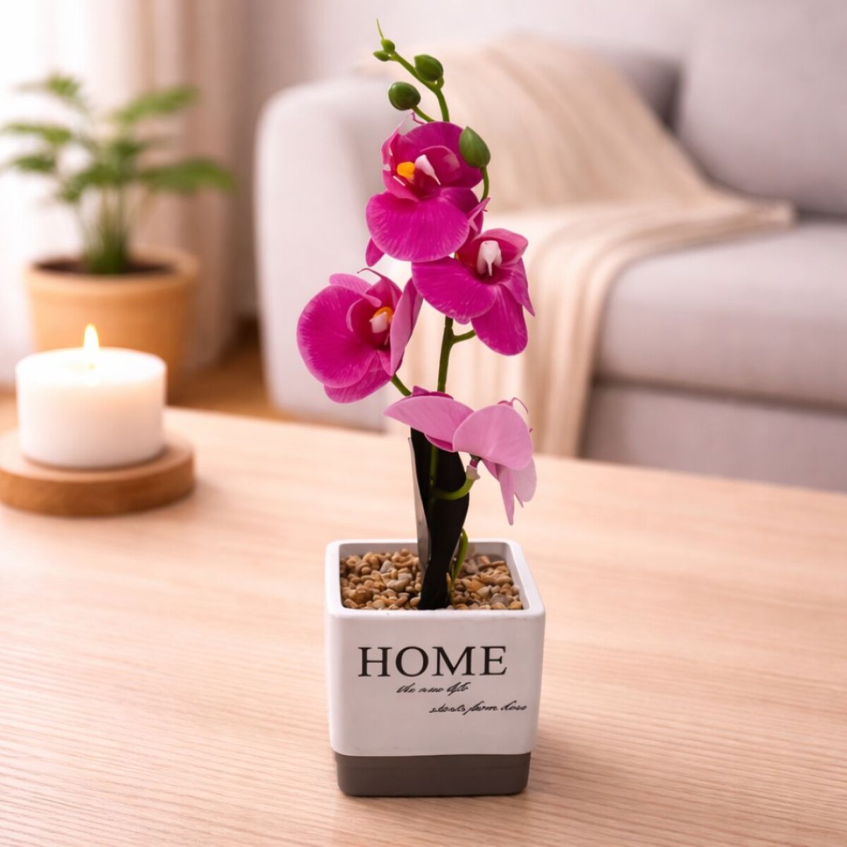 PLANTA CON FLORES ORQUIDEA CON MACETA 