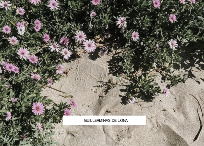 Guillerminas de Lona