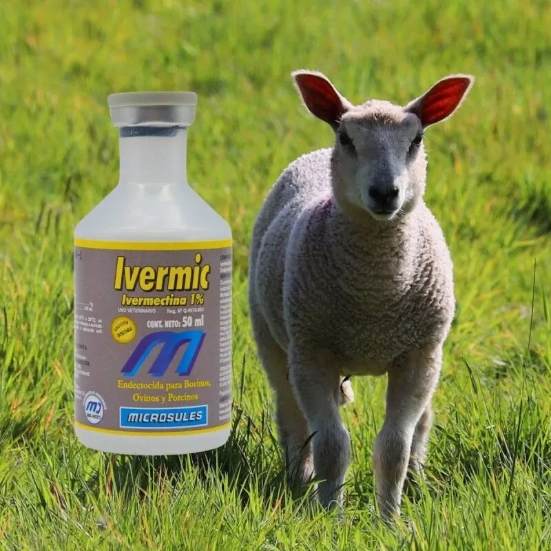 IVERMIC MICROSULES FRASCO 50 ML