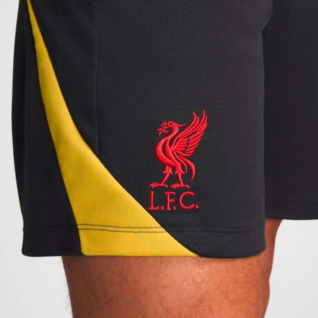 Short Nike FC Liverpool Stirke Third de Hombre Gris