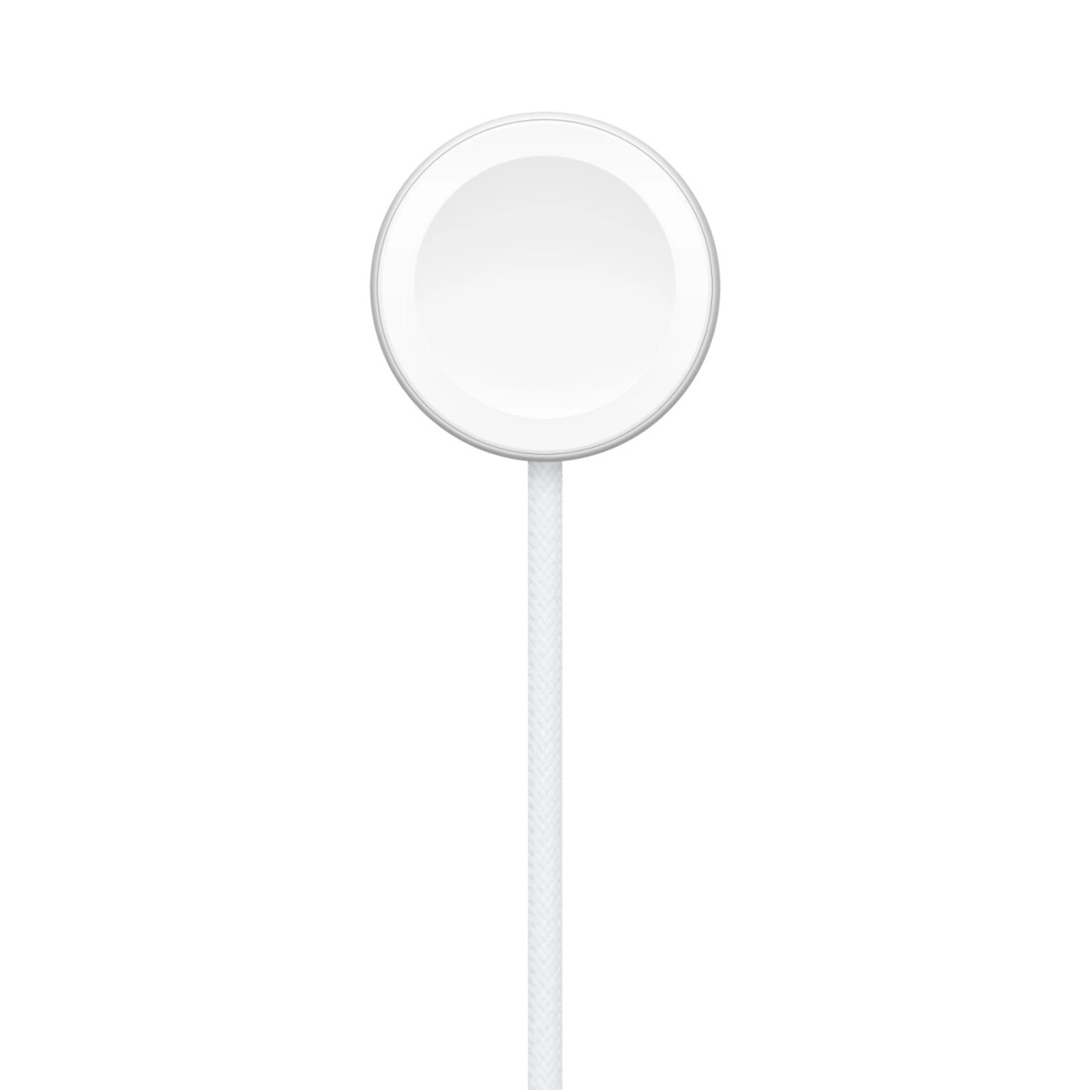 Apple cable magnético USB-C para Apple Watch (1m) 