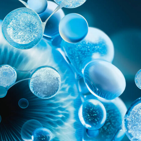 Crema Biotherm Aquasource Hydra Barrier Cream 50ml Crema Biotherm Aquasource Hydra Barrier Cream 50ml