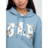 V-GAP HERITAGE PO HD BLUE STONE