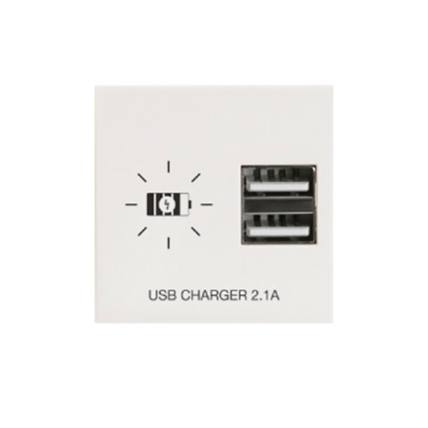 Módulo cargador p/2 USB 2,1A Presta blanco C51532