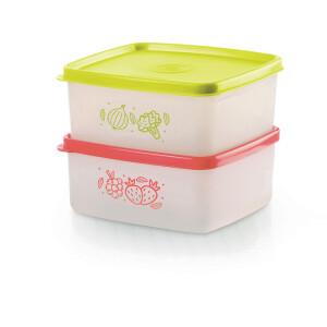 PRACTIFREEZE TUPPERWARE 500 ML TRANSPARENTE