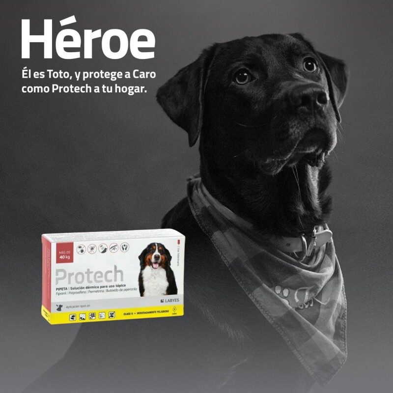 PROTECH PIPETA ANTIPULGAS Y GARRAPATAS CON ACCIÓN AMBIENTAL PARA PERROS MÁS DE 40 KG