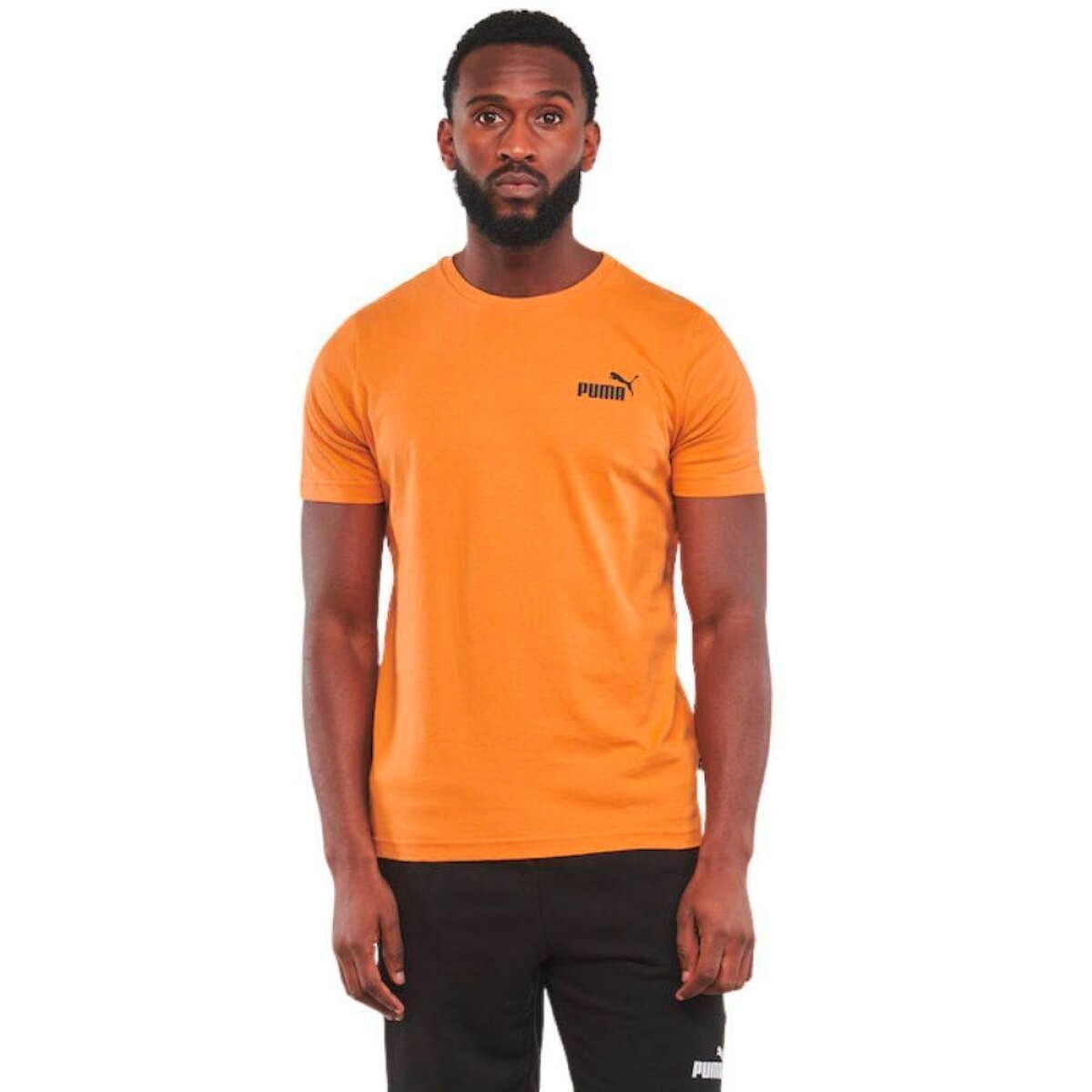 ESS SMALL LOGO TEE - Chocolate 
