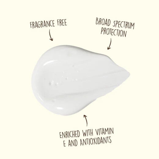 Protector solar Sun Bum Face Spf 50 Sunscreen Lotion Protector solar Sun Bum Face Spf 50 Sunscreen Lotion