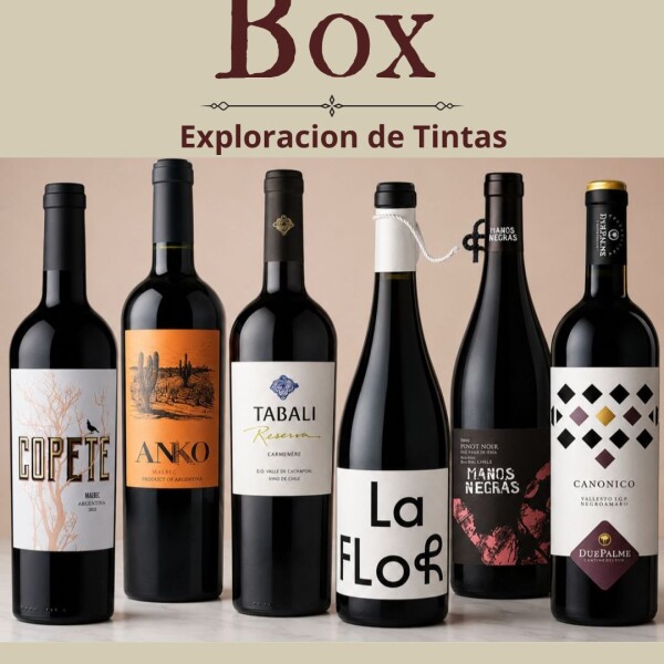 Box Exploración tintas Box Exploración tintas