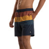 Quiksilver Short Volley TIJUANA Hombre - Multicolor Multicolor