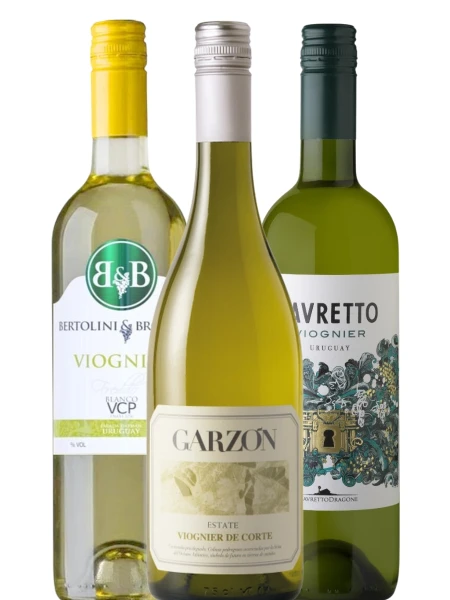 Pack Viognier Uy II Pack Viognier Uy II