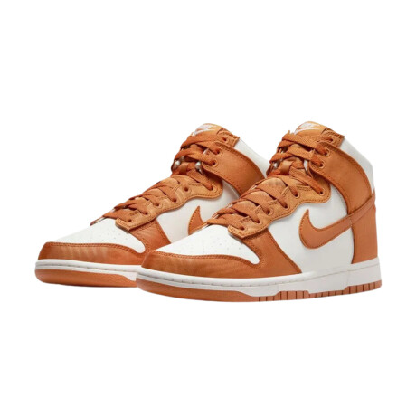 Championes Nike Dunk High Retro Se Brown