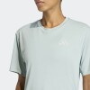 Remera Adidas Adi365 Essentials Verde