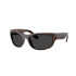 Rayban 2289 Havana