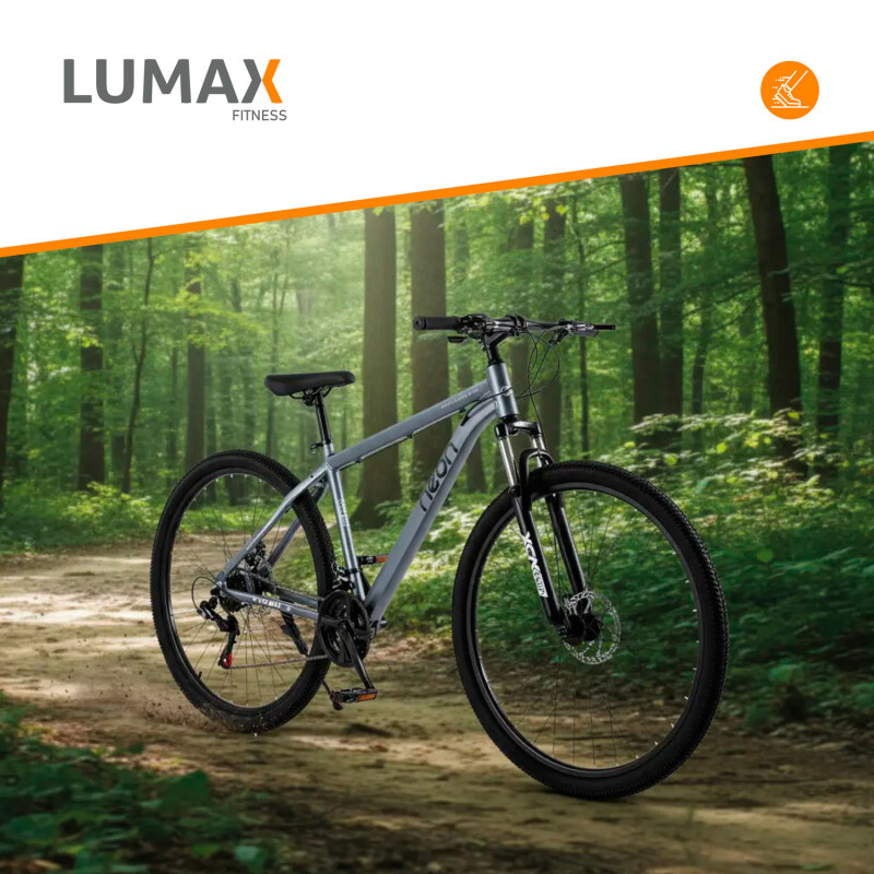 Bicicleta Montaña 26 Cuadro Aluminio Freno Disco 21 Cambios Gris