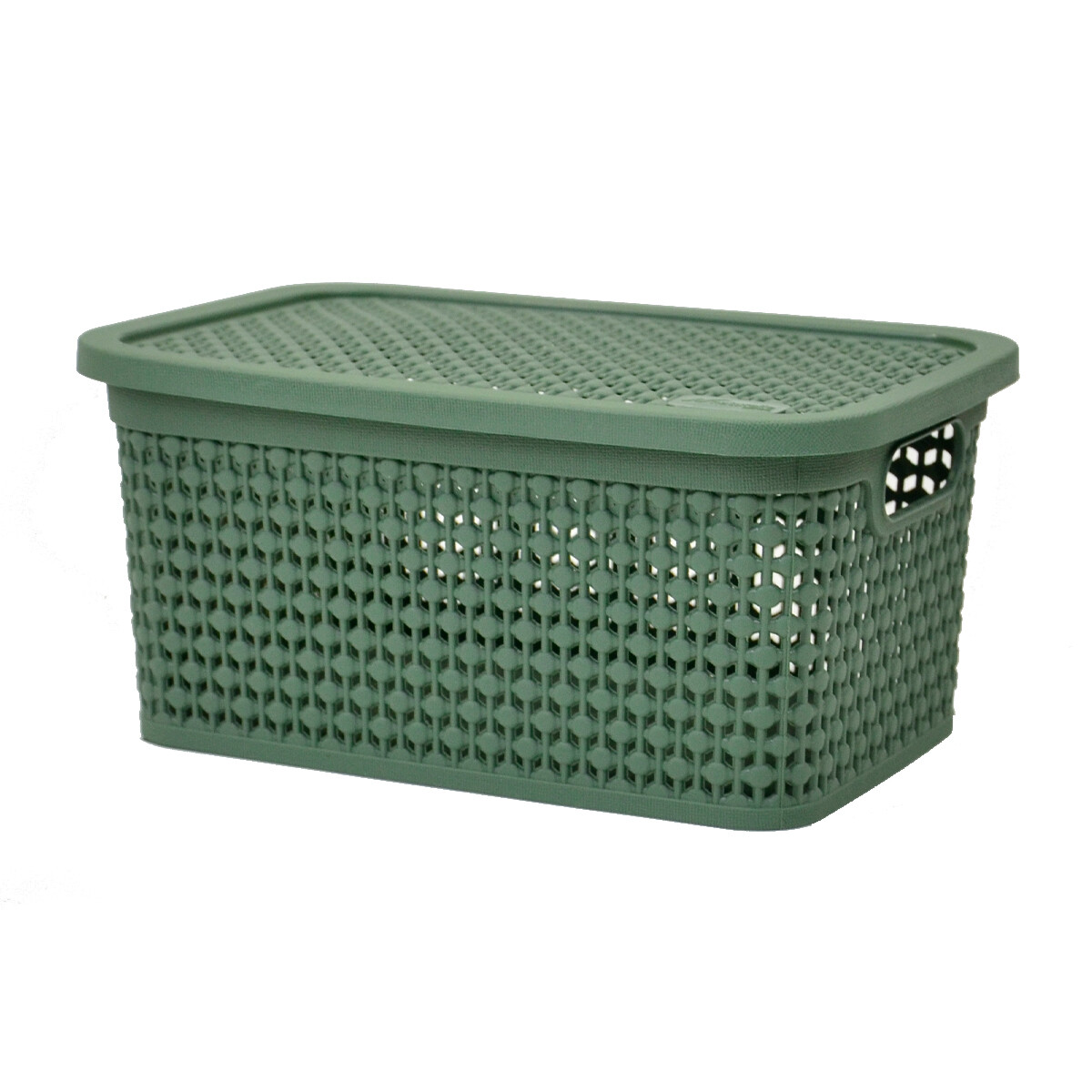 Caja simil rattan 2,5 Lts. (23x15,5x11cm) - VERDE 