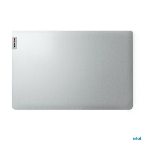 Notebook Lenovo N4020 8GB/256GB/15.6/W11 Gray