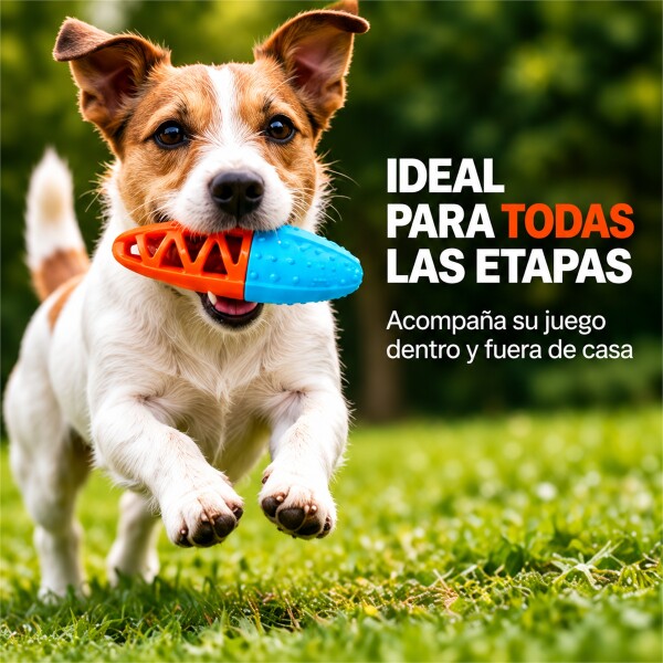 Juguete Morder Perros Gatos Limpieza Dental Golosinas Premio Celeste Naranja
